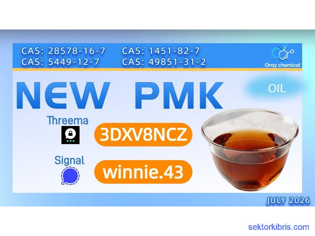PMK Oil CAS 28578-16-7 | Global Wholesale Supplier