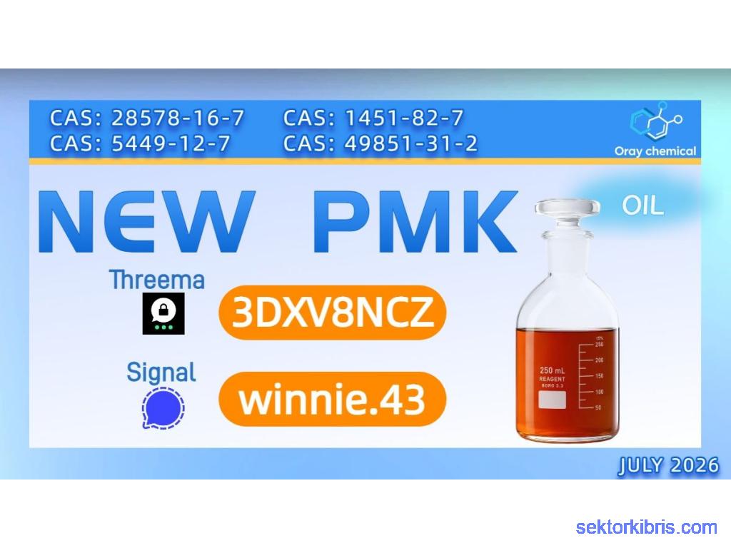 PMK Oil CAS 28578-16-7 | Global Wholesale Supplier