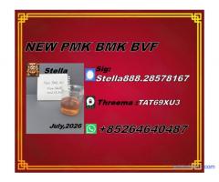 Global Distribution New PM.K 28578-16-7/ BM.K CAS:5449-12-7/
