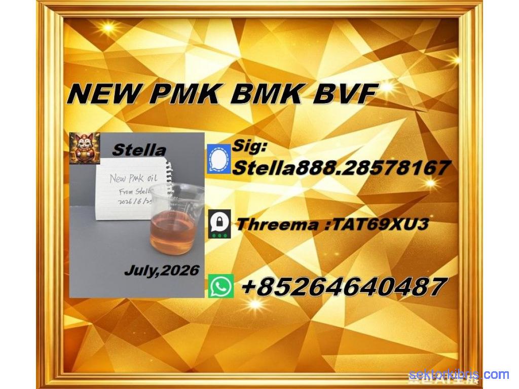 Global Distribution New PM.K 28578-16-7/ BM.K CAS:5449-12-7/
