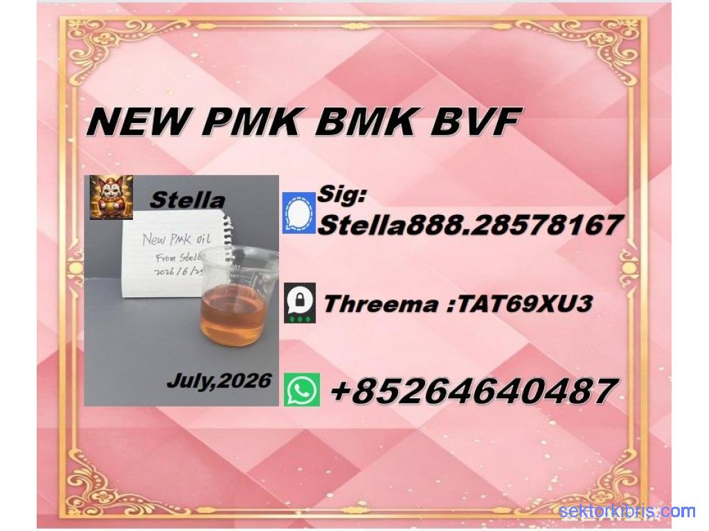 Global Distribution New PM.K 28578-16-7/ BM.K CAS:5449-12-7/
