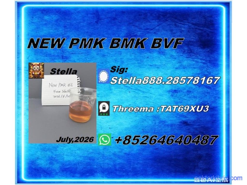 Global Distribution New PM.K 28578-16-7/ BM.K CAS:5449-12-7/