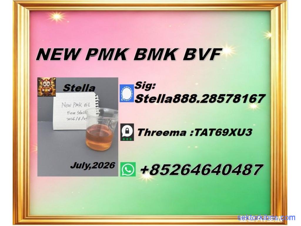 Global Distribution New PM.K 28578-16-7/ BM.K CAS:5449-12-7/