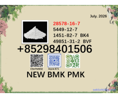 New BMK PMK 5449-12-7 hot selling CAS 28578-16-7 BK4 BVF Powder