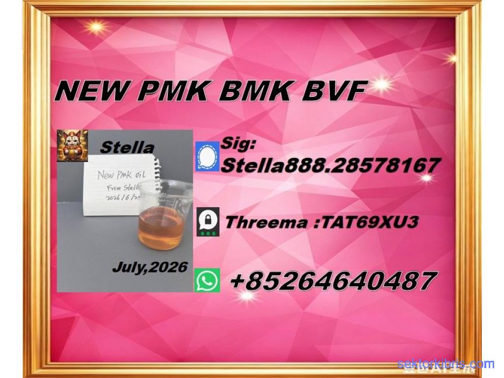 New PM.K 28578-16-7/ BM.K CAS:5449-12-7/ Industry Expertise