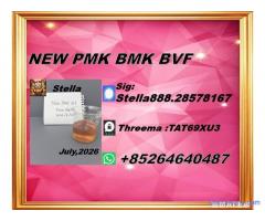 New PM.K 28578-16-7/ BM.K CAS:5449-12-7/ Industry Expertise