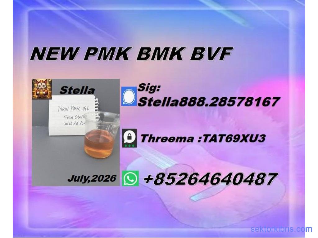 New PM.K 28578-16-7/ BM.K CAS:5449-12-7/ Industry Expertise