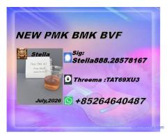 New PM.K 28578-16-7/ BM.K CAS:5449-12-7/ Industry Expertise