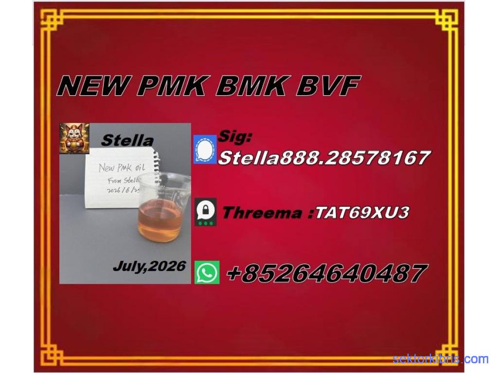 New PM.K 28578-16-7/ BM.K CAS:5449-12-7/ Industry Expertise