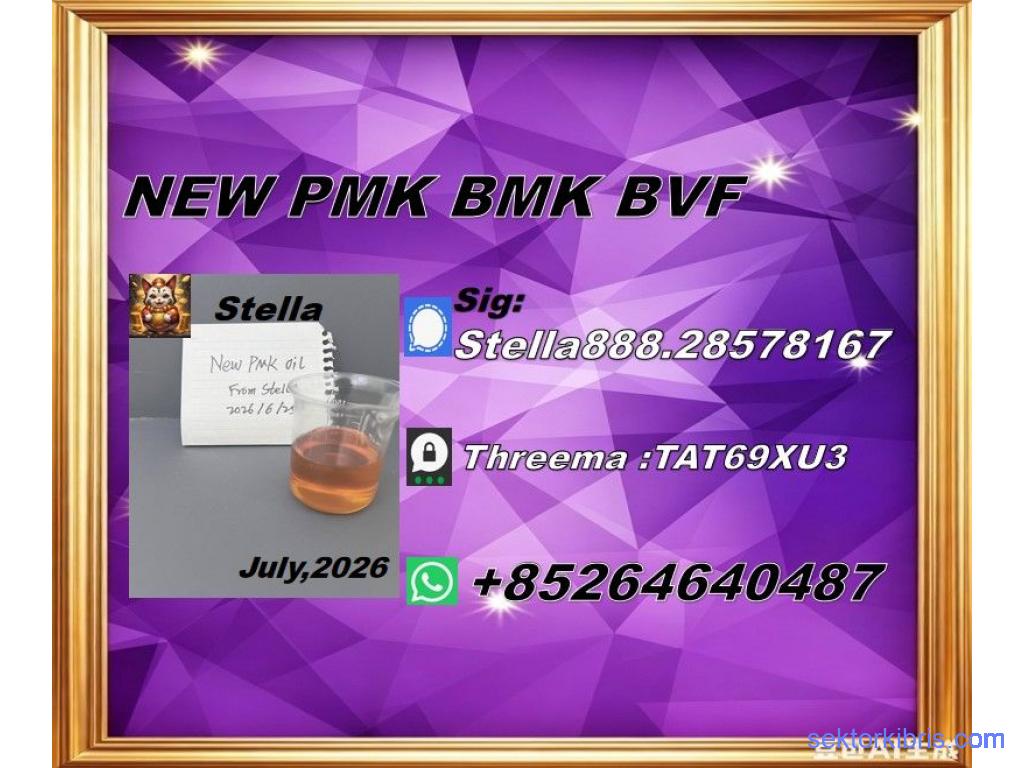 New PM.K 28578-16-7/ BM.K CAS:5449-12-7/ Industry Expertise