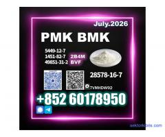 New PMK CAS 28578-16-7 BMK tracking support