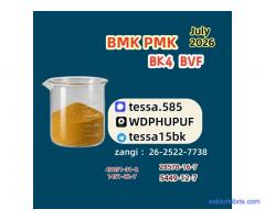 PMK CAS 28578-16-7 | Bulk Chemical Supplier