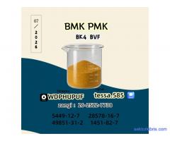 PMK CAS 28578-16-7 | Bulk Chemical Supplier