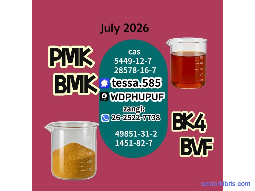 PMK CAS 28578-16-7 | Bulk Chemical Supplier PMK CAS 28578-16-7 | Bulk Chemical Supplier