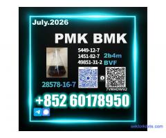 New PMK CAS 28578-16-7 BMK Dependable supply chain