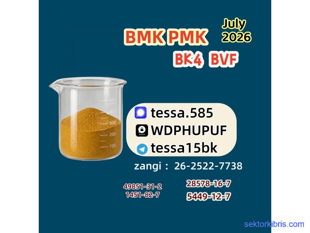 PMK OIL CAS 28578-16-7 and 5449-12-7 BMK Overview PMK OIL CAS 28578-16-7 and 5449-12-7 BMK Overview