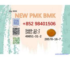 Best selling 5449-12-7 / 28578-16-7 BMK PMK Powder Factory supply