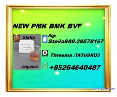 Global Distribution New PM.K 28578-16-7/ BM.K CAS:5449-12-7/