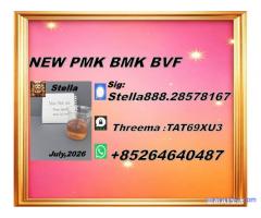CAS 28578-16-7/Quality consistency BMK/ CAS 5449-12-7/