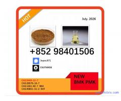 Efficient cas 5449-12-7 and 28578-16-7 BMK PMK powder in bulk supply also with 1451-82-7 49851-31-2