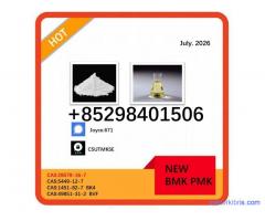 5449-12-7 and 28578-16-7 BMK 1451-82-7 49851-31-2 PMK with best price