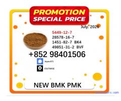 CAS 28578-16-7 BMK CAS 5449-12-7 factory supply 49851-31-2 /1451-82-7 PMK powder