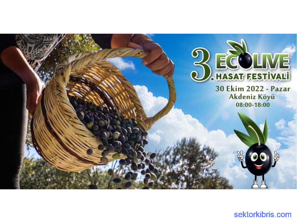 3.Ecolive Hasat Festivali / Olive HarFest